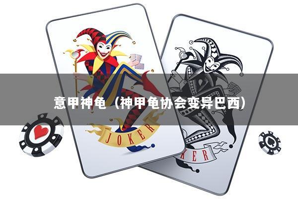 意甲神龟（神甲龟协会变异巴西）