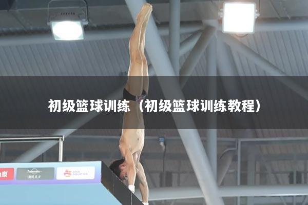 初级篮球训练（初级篮球训练教程）
