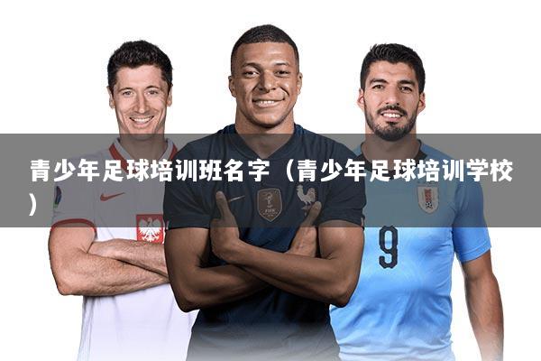 青少年足球培训班名字（青少年足球培训学校）