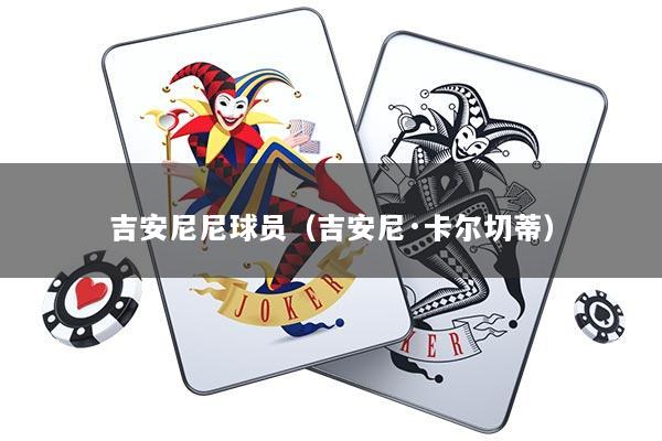 吉安尼尼球员（吉安尼·卡尔切蒂）