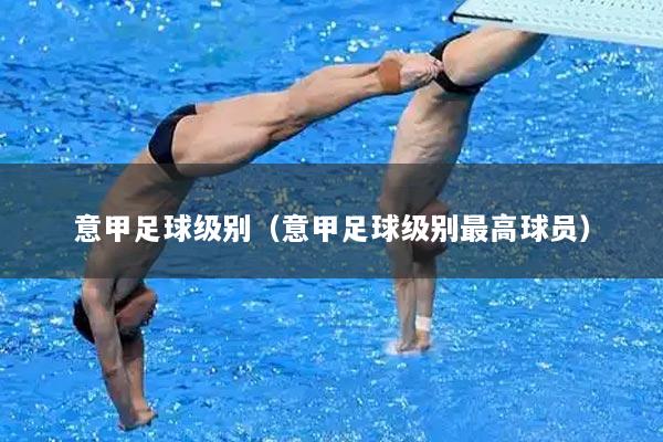 意甲足球级别（意甲足球级别最高球员）