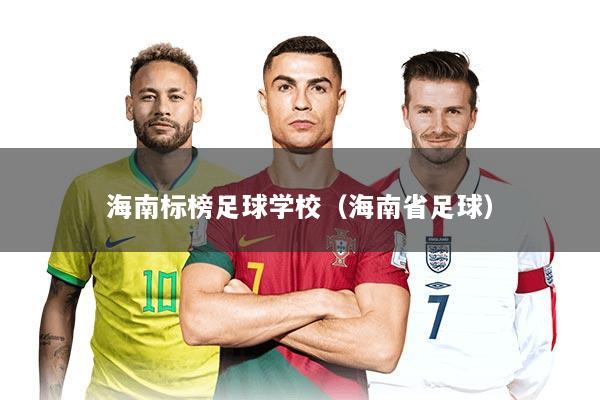 海南标榜足球学校（海南省足球）