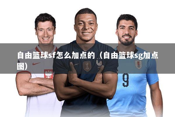 自由篮球sf怎么加点的（自由篮球sg加点图）